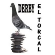 (c) Derbypalomasmensajeras.com